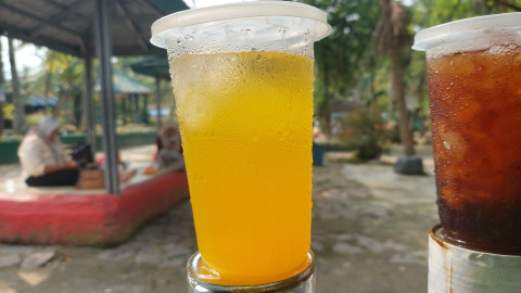 Es Nutrisasi Segar